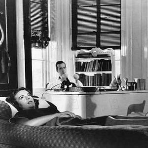 Foto Esplendor en la hierba