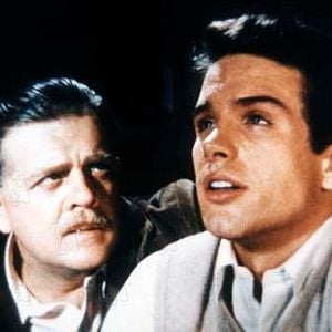 Foto Esplendor en la hierba