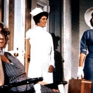 Foto Esplendor en la hierba