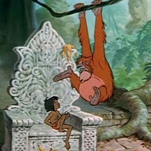 Foto El libro de la selva