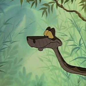 Foto El libro de la selva