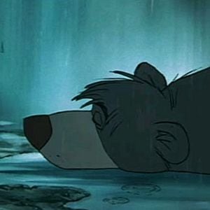 Foto El libro de la selva