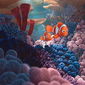 Foto Buscando a Nemo
