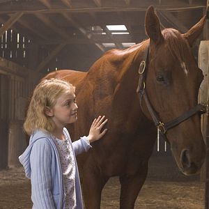 Foto Dreamer: Camino hacia la victoria