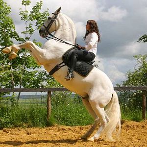 Foto Valérie Guignabodet