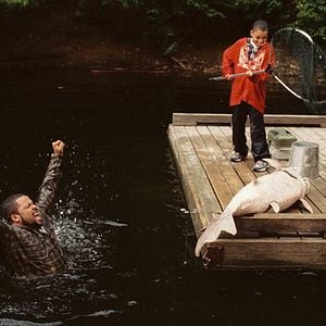 Foto Una casa patas arrriba