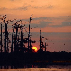 Foto Greg MacGillivray