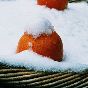 Foto Jean-Paul Fargier