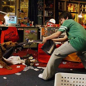 Foto Perro al rescate