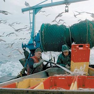 Foto Nosotros alimentamos al mundo