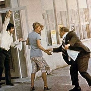 Foto Tarde de perros