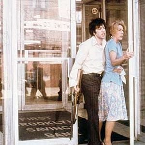 Foto Tarde de perros