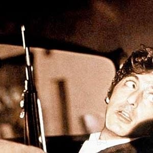 Foto Tarde de perros