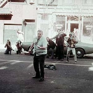 Foto Tarde de perros