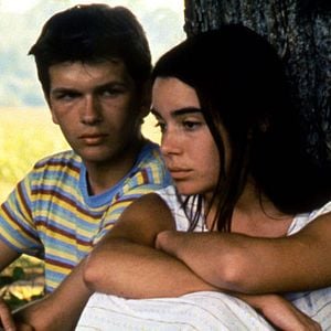 Foto Los juncos salvajes