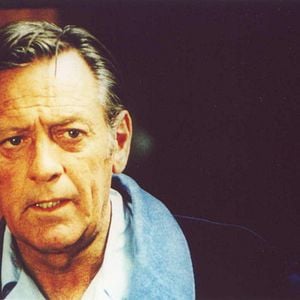 Foto Primavera en otoño