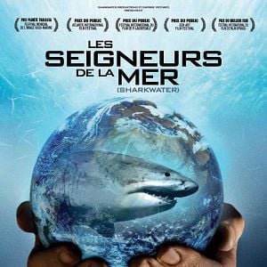 Foto Tiburón, en las garras del hombre