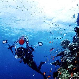 Foto Rob Stewart (II)