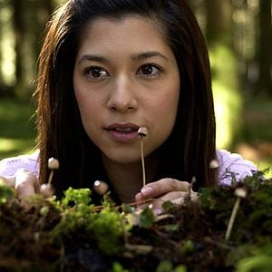 Foto Cabeza de muerte (Fungus Mortalitas)