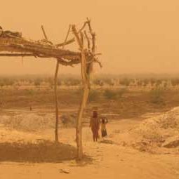 Foto Laurent Salgues