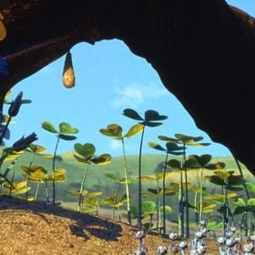 Foto Bichos: una aventura en miniatura