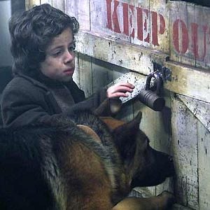 Foto Las nuevas aventuras de Rin-Tin-Tin