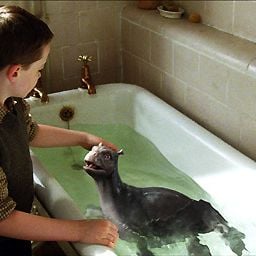 Foto Mi monstruo y yo