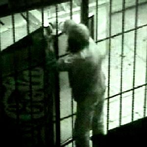 Foto Los Ladrones viejos