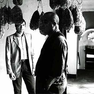 Foto La estrategia de la araña