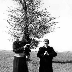 Foto Almas sin conciencia