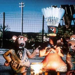 Foto Chicken Run: Evasión en la granja