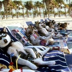 Foto Aventuras en Alaska