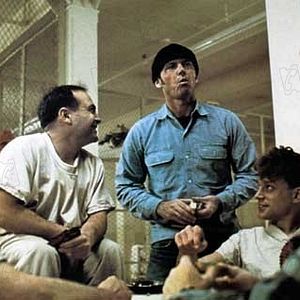 Foto Alguien voló sobre el nido del cuco