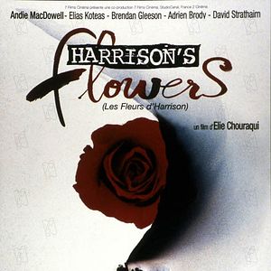 Foto Las flores de Harrison