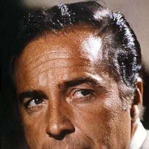 Foto Peter Collinson