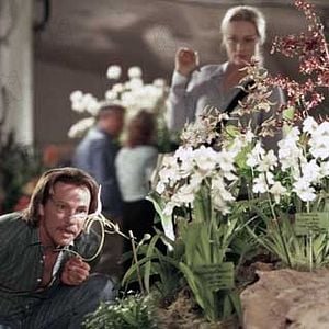 Adaptation (El ladrón de orquídeas) - Película 2002