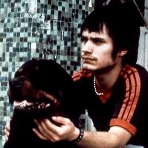 Foto Amores perros