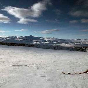 Foto El último cazador