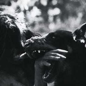 Foto François Truffaut