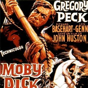 Foto Moby Dick