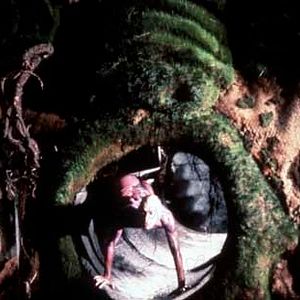 Foto Prospero's Books (Los libros de Próspero)