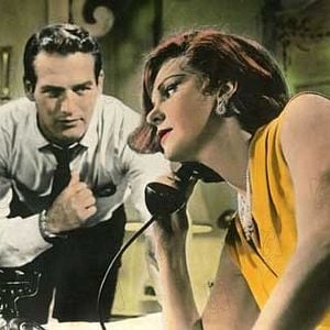 Foto Dulce pájaro de juventud