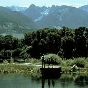 Foto El río de la vida