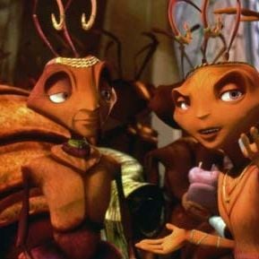 Foto Antz (Hormigaz)