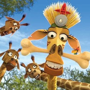 Foto Madagascar 2
