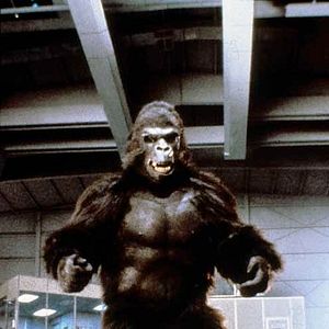 Foto John Guillermin