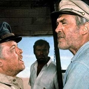 Foto El vuelo del Fénix