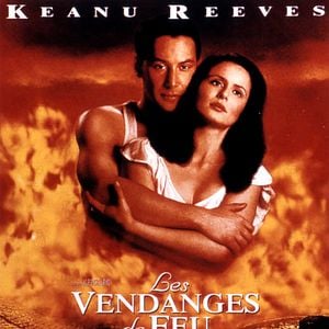 Foto Un paseo por las nubes