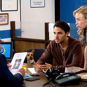 Foto Un chihuahua en Beverly Hills