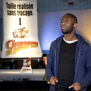 Foto Un chihuahua en Beverly Hills